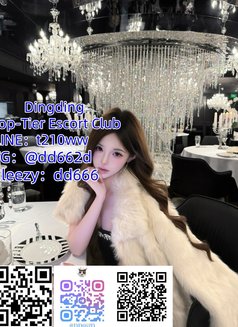 Dingding Top Tier Escort Club - escort agency in Taipei Photo 6 of 10