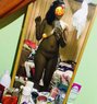 Dinithi Cam Girl Whatsapp/telegram - escort in Colombo Photo 1 of 8
