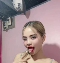 Dino - escort agency in Mecca