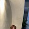 Dio Male Escrot Denpasar Bali - Male escort in Bali