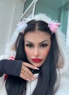 Diosa Latina 🇧🇷 - escort in Dubai Photo 5 of 20