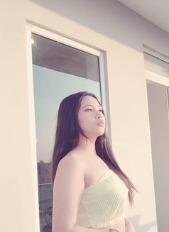 Direct Payment in Star Hotel Service - escort in Chennai Photo 1 of 2