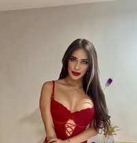 Discover Passion, Connect with Desire. - Acompañantes transexual in Bangkok