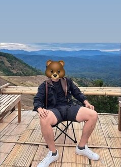 Discreet Bear - Male escort in Phuket Photo 1 of 1