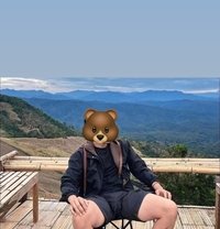 Discreet Bear - Male escort in Phuket