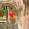 Disha Aggarwal - escort in Hyderabad Photo 4 of 5