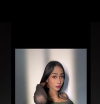 Disha Big D - Transsexual escort in Mumbai Photo 16 of 16