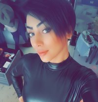Diva Amy - Transsexual escort in Amman