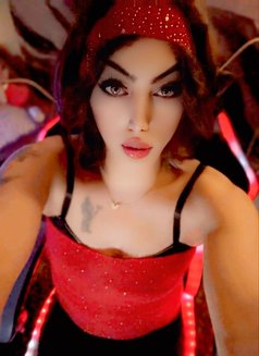 Diva Amy - Transsexual escort in Amman Photo 6 of 11