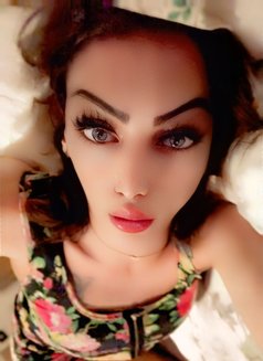 Diva Amy - Transsexual adult performer in Amman Photo 13 of 13