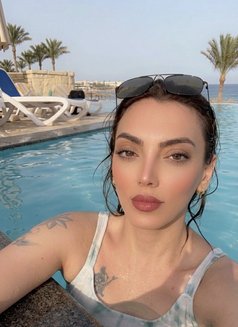 Diva Amy - Acompañantes transexual in Amman Photo 1 of 1