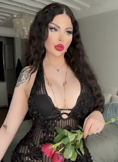 Diva Arabic trans in Paris ts Arabian - Transsexual escort in Paris Photo 29 of 30