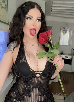 Diva Arabic trans in Paris ts Arabian - Transsexual escort in Paris Photo 30 of 30