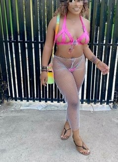 Diva - escort in Barbados Photo 2 of 3