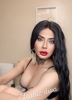 Diva - Transsexual escort in Erbil Photo 2 of 11