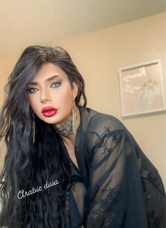 Diva - Transsexual escort in Erbil Photo 3 of 11