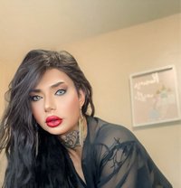Diva - Transsexual escort in Erbil