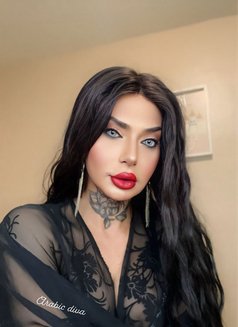 Diva - Transsexual escort in Erbil Photo 5 of 11