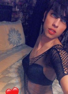 Diva-Jour “ Ladyboy “ - Transsexual escort in Cairo Photo 5 of 5