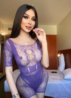 DIVA JUST ARRIVED - Transsexual escort in Al Manama Photo 21 of 23