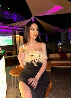 DIVA JUST ARRIVED - Transsexual escort in Al Manama Photo 21 of 27