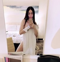 DV Ladyboy THAILAND 🇹🇭 - Transsexual escort in Riyadh