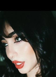 Diva - Acompañantes transexual in Beirut Photo 11 of 14