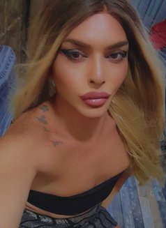 Diva - Acompañantes transexual in Beirut Photo 25 of 30