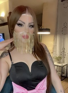 Diva lili Arabic trans in Paris - Transsexual escort in Paris Photo 19 of 30