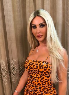 Diva Melissa - Transsexual escort in Beirut Photo 19 of 19