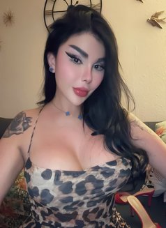 Diva shemale Arabic in Paris ts Arabian - Transsexual escort in Paris Photo 10 of 29