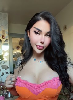 Diva shemale Arabic in Paris ts Arabian - Transsexual escort in Paris Photo 16 of 29
