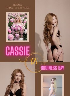 DIVA STARS Your lovely agency - escort agency in Dubai Photo 3 of 14