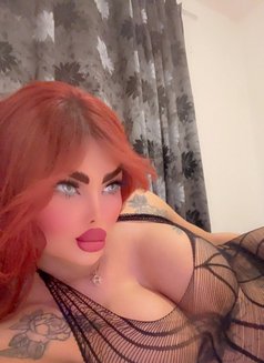 divaraghedXXL - Transsexual escort in Tunis Photo 19 of 20