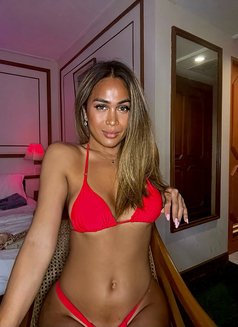 Divine Temptation - VersaTOP Roberta - Transsexual escort in Bangkok Photo 19 of 30