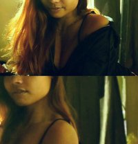 Divine wolf - companion in Guwahati