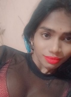Divya Dixit - Transsexual escort in Mumbai Photo 1 of 1