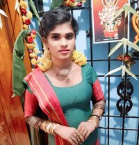 Divya - Transsexual escort in Chennai