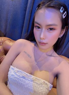 Dixie - Acompañantes transexual in Makati City Photo 6 of 7