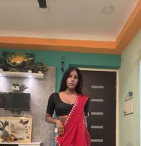Aahat Mistress - Transsexual escort in Noida