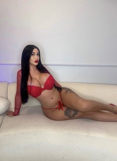 Doa Brunette🖤 21cm - Acompañantes transexual in İstanbul Photo 23 of 30