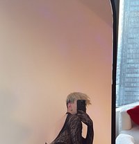 Doa - Transsexual escort in Riyadh