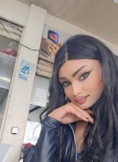 Dodi. S - Agencia de acompañantes transexuales in Beirut Photo 3 of 11