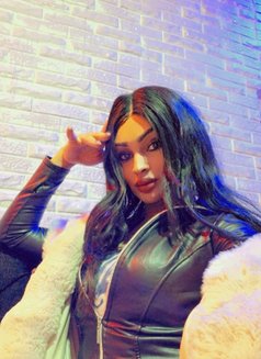 Dodi. S - Agencia de acompañantes transexuales in Beirut Photo 4 of 11