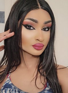 Dodi. S - Agencia de acompañantes transexuales in Beirut Photo 5 of 11