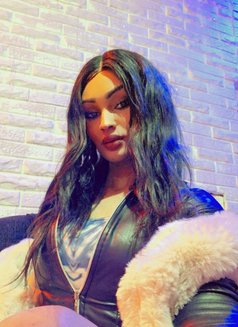 Dodi. S - Agencia de acompañantes transexuales in Beirut Photo 6 of 11