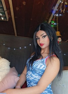 Dodi. S - Agencia de acompañantes transexuales in Beirut Photo 8 of 11