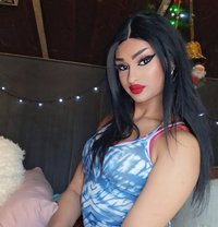 Dodi. S - Transsexual escort agency in Beirut