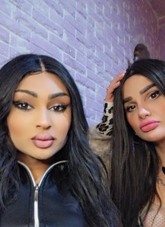 Dodi. S - Transsexual escort agency in Beirut Photo 3 of 13