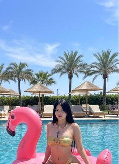 Dodou - escort in Dubai Photo 2 of 4